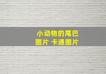 小动物的尾巴图片 卡通图片